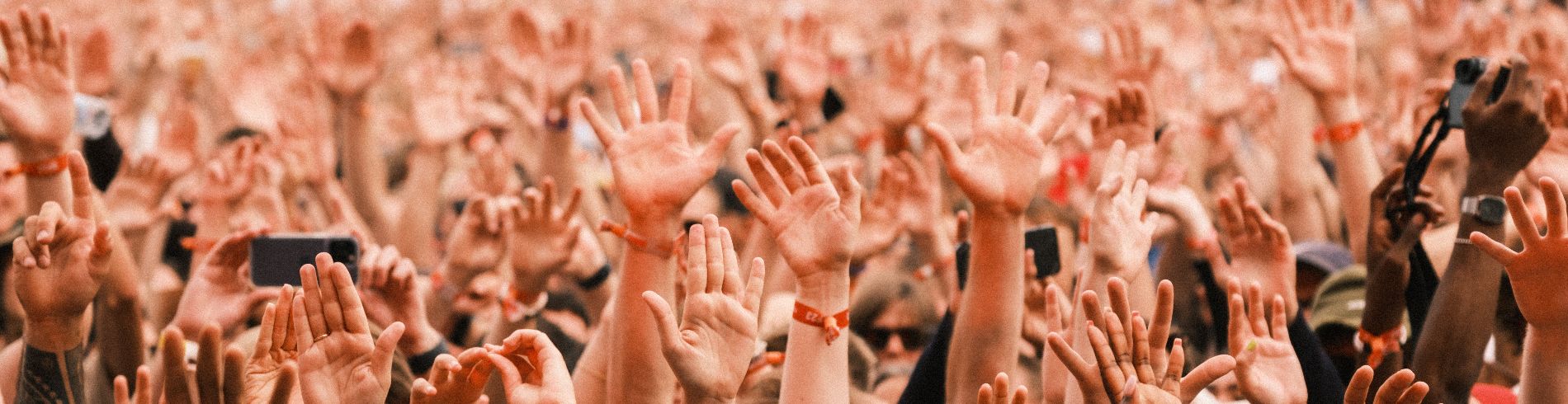 Roskilde Festival Group's Media Library cover image